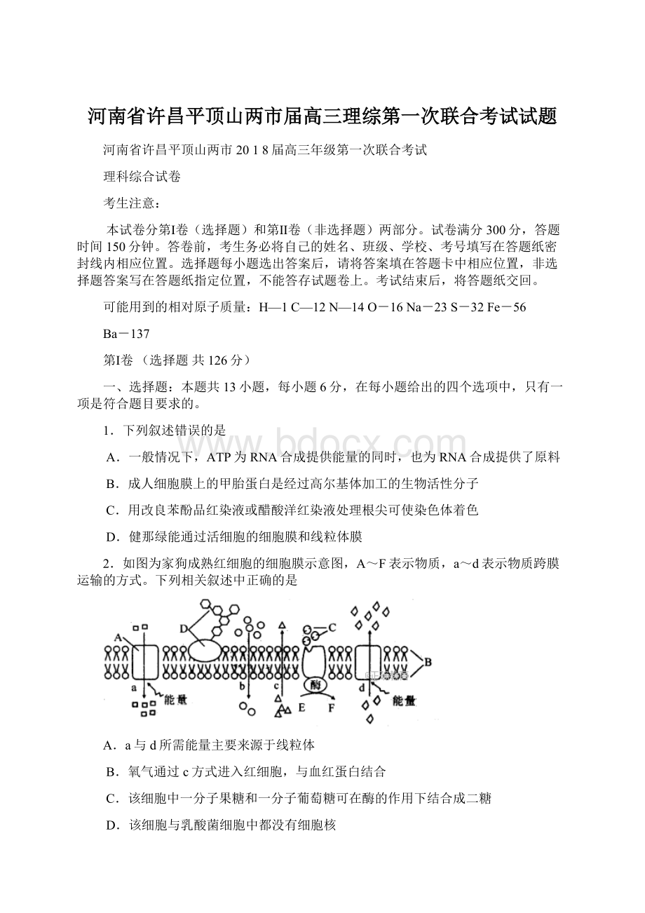 河南省许昌平顶山两市届高三理综第一次联合考试试题Word文件下载.docx