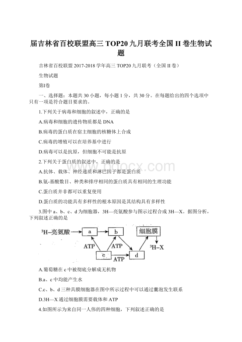 届吉林省百校联盟高三TOP20九月联考全国II卷生物试题Word文件下载.docx_第1页