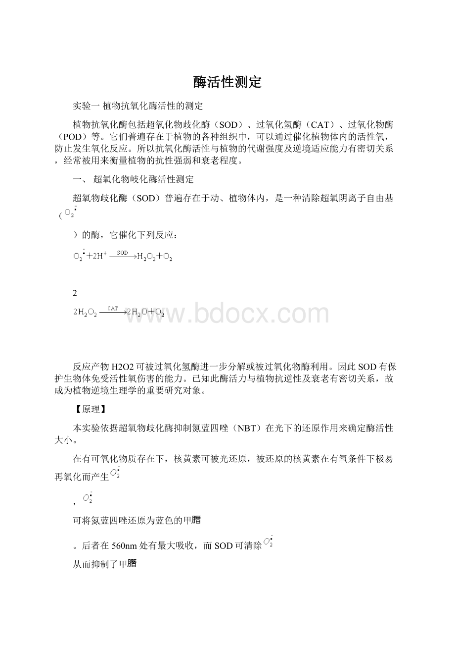 酶活性测定文档格式.docx_第1页