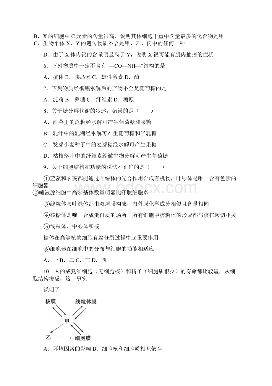 高二生物上学期第一次月考试题重点班Word格式.docx_第3页