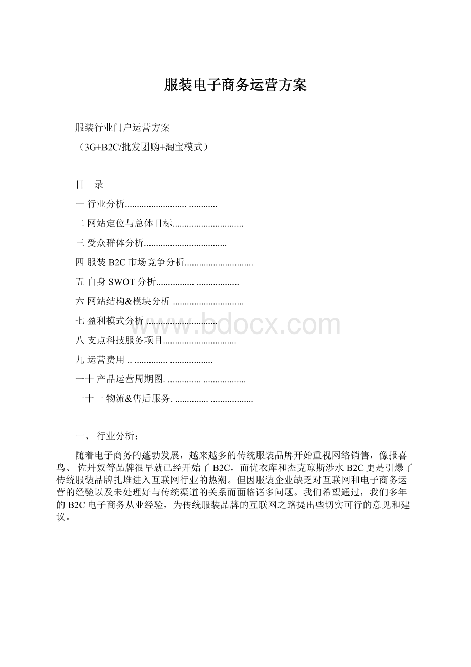 服装电子商务运营方案Word格式.docx_第1页