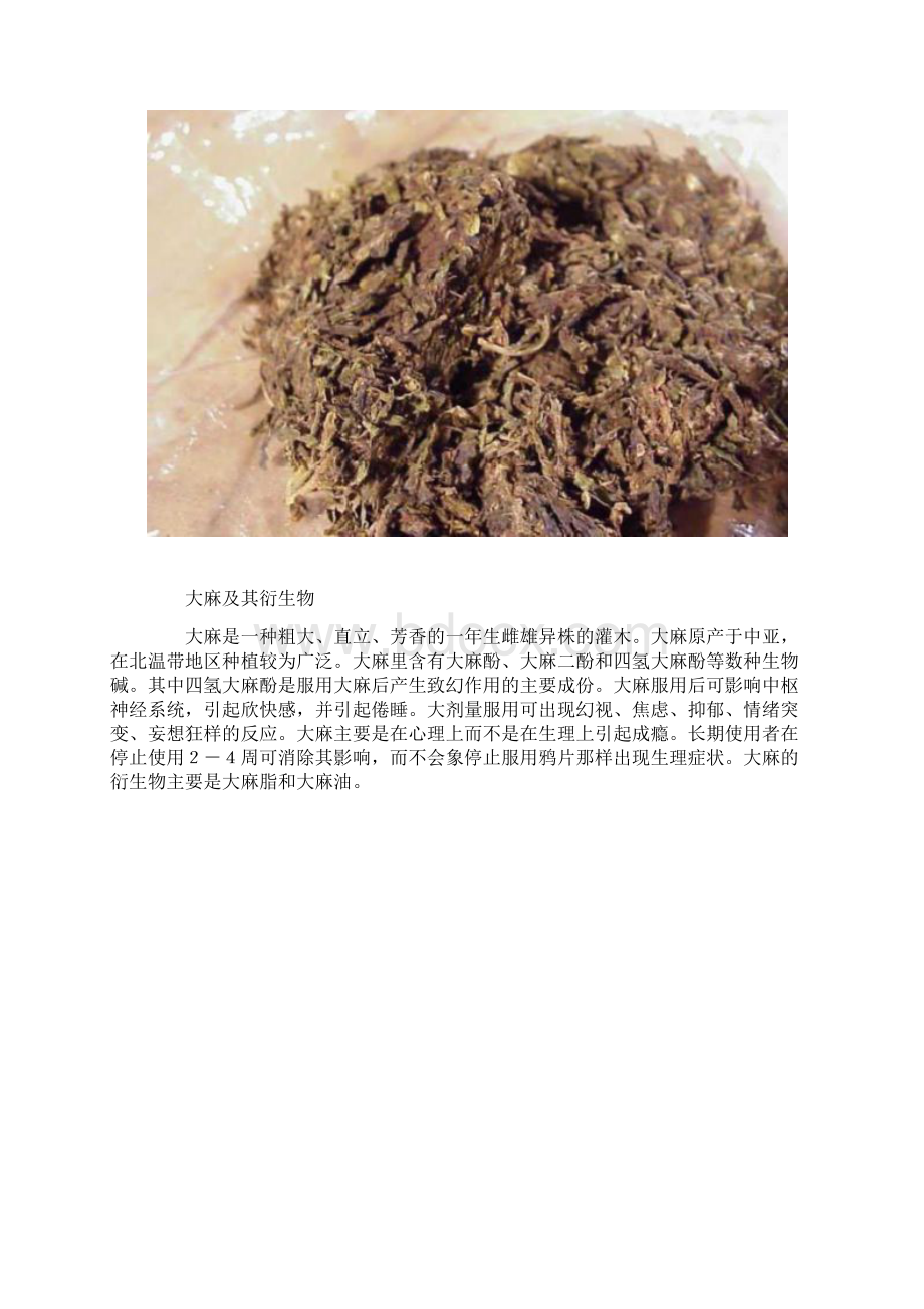 常见毒品种类与危害Word文件下载.docx_第2页