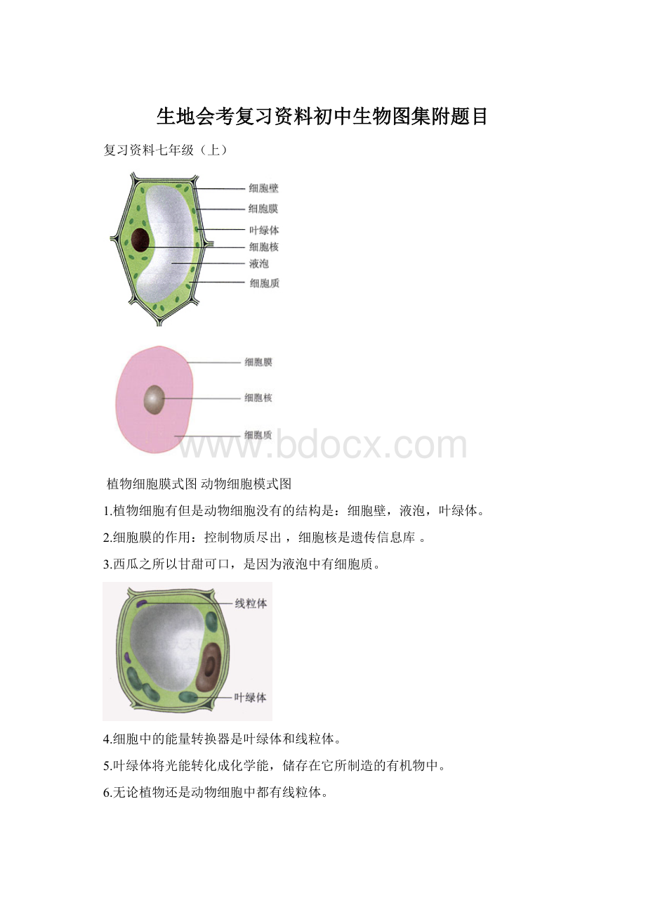 生地会考复习资料初中生物图集附题目Word下载.docx_第1页