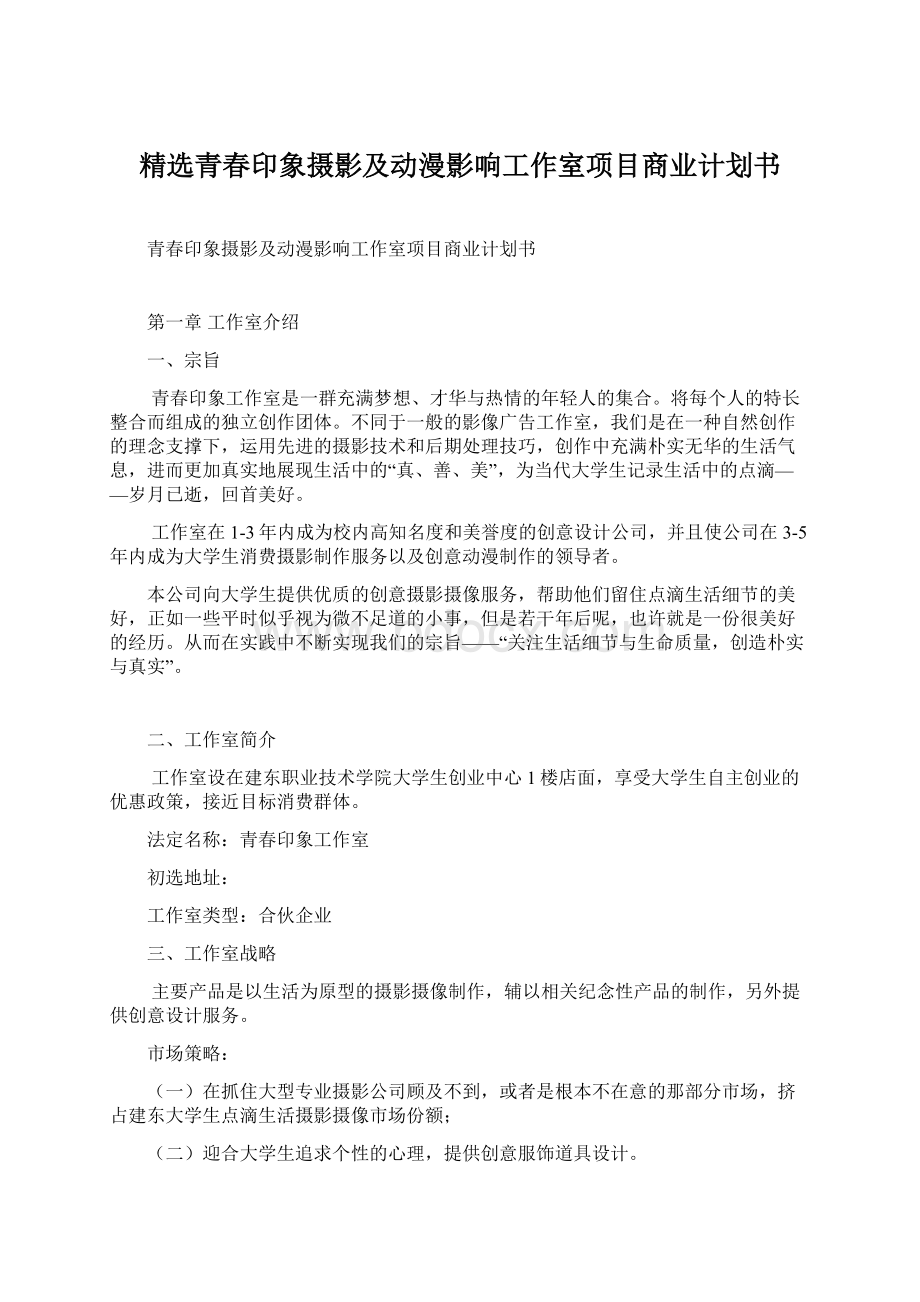 精选青春印象摄影及动漫影响工作室项目商业计划书Word格式.docx