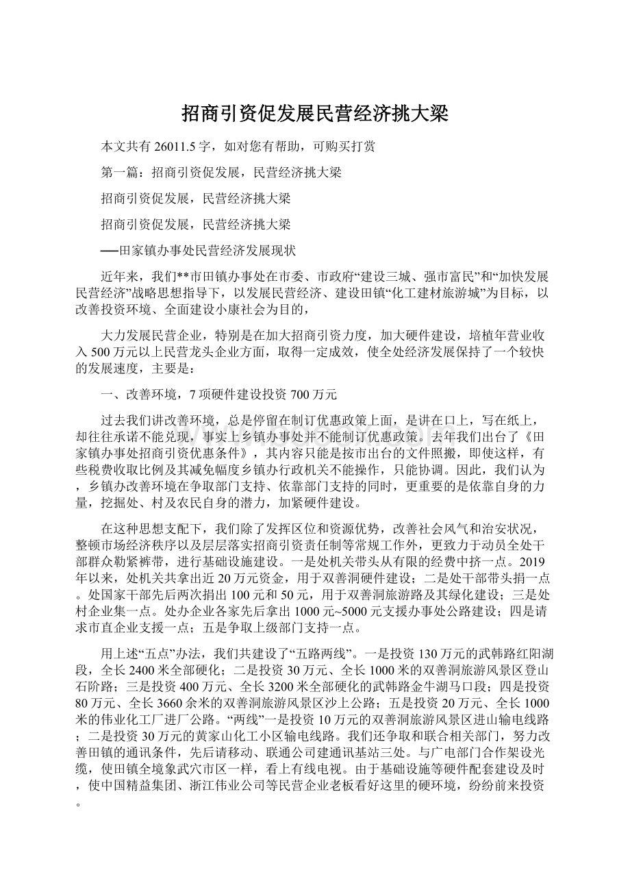 招商引资促发展民营经济挑大梁文档格式.docx_第1页