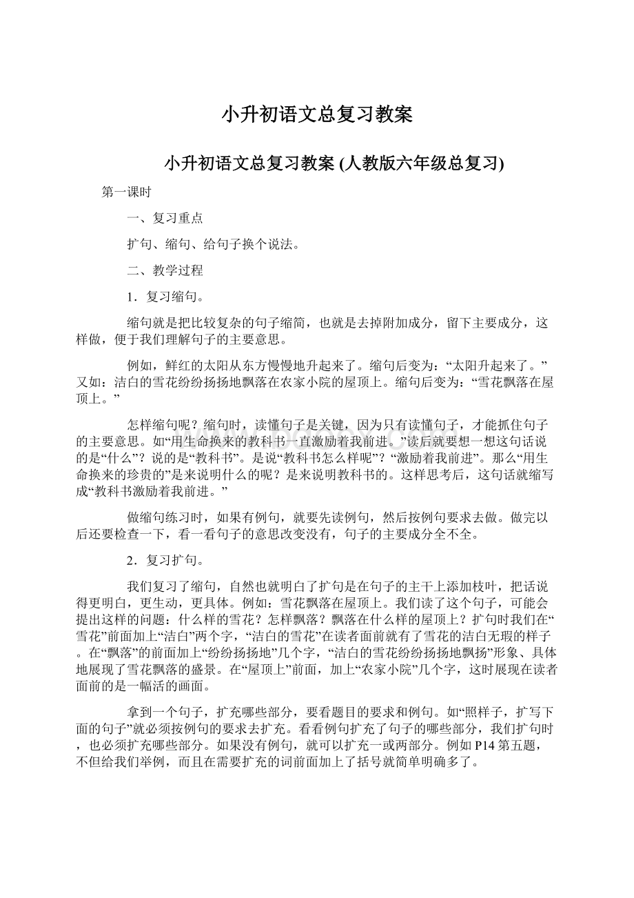 小升初语文总复习教案Word格式文档下载.docx_第1页