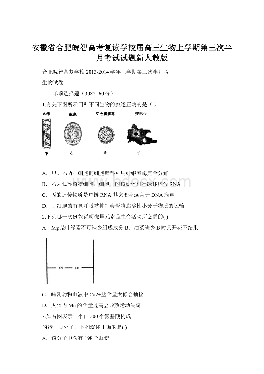 安徽省合肥皖智高考复读学校届高三生物上学期第三次半月考试试题新人教版Word格式文档下载.docx_第1页