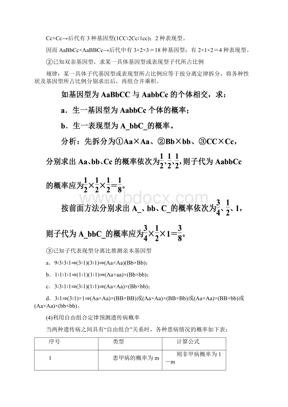 第一单元 遗传因子的发现文档格式.docx_第2页