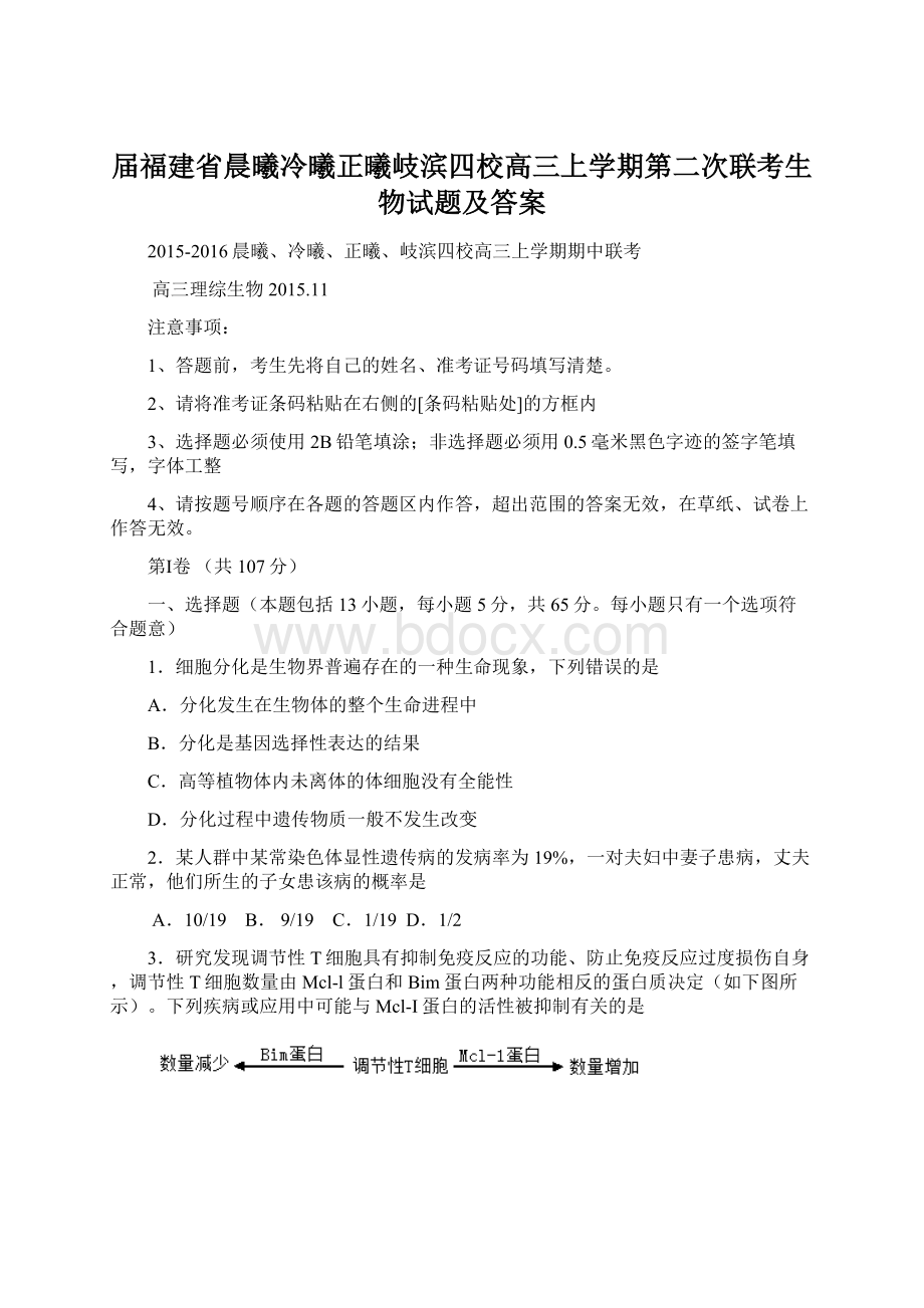 届福建省晨曦冷曦正曦岐滨四校高三上学期第二次联考生物试题及答案.docx_第1页