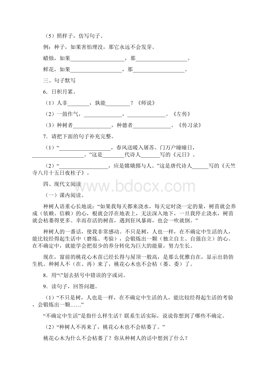 山东省德州市夏津双语中学学年七年级招生考试语文试题.docx_第2页