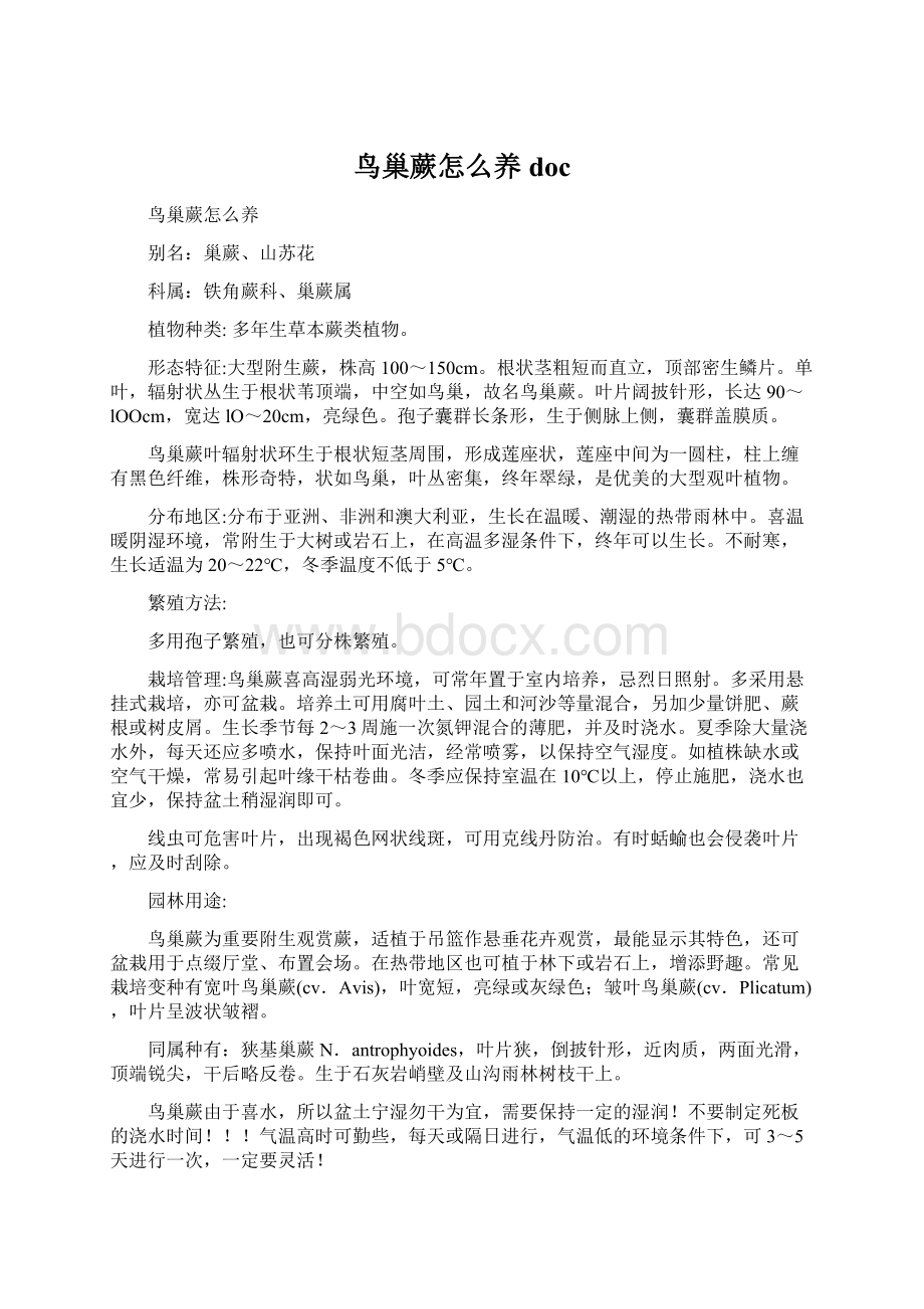 鸟巢蕨怎么养docWord格式文档下载.docx