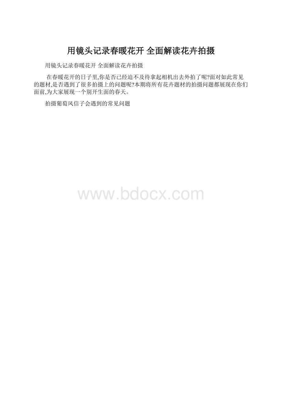 用镜头记录春暖花开 全面解读花卉拍摄Word格式.docx_第1页