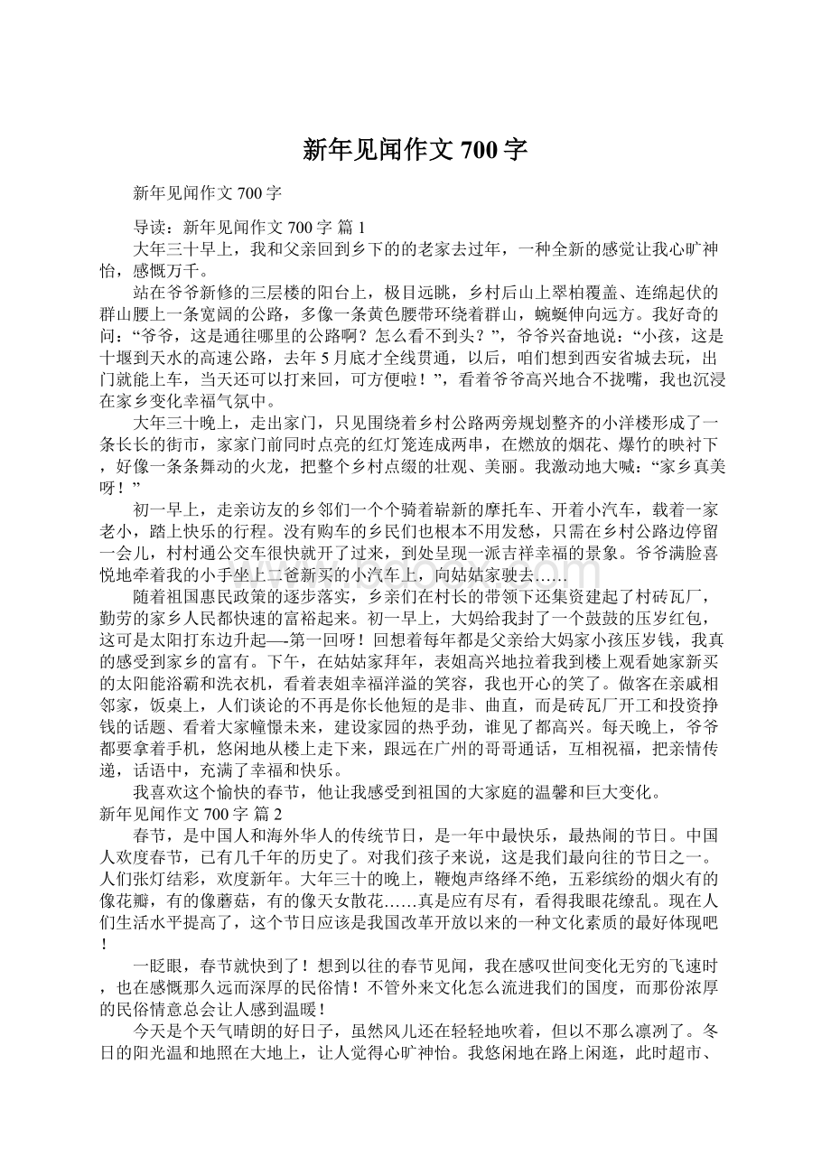 新年见闻作文700字Word文件下载.docx