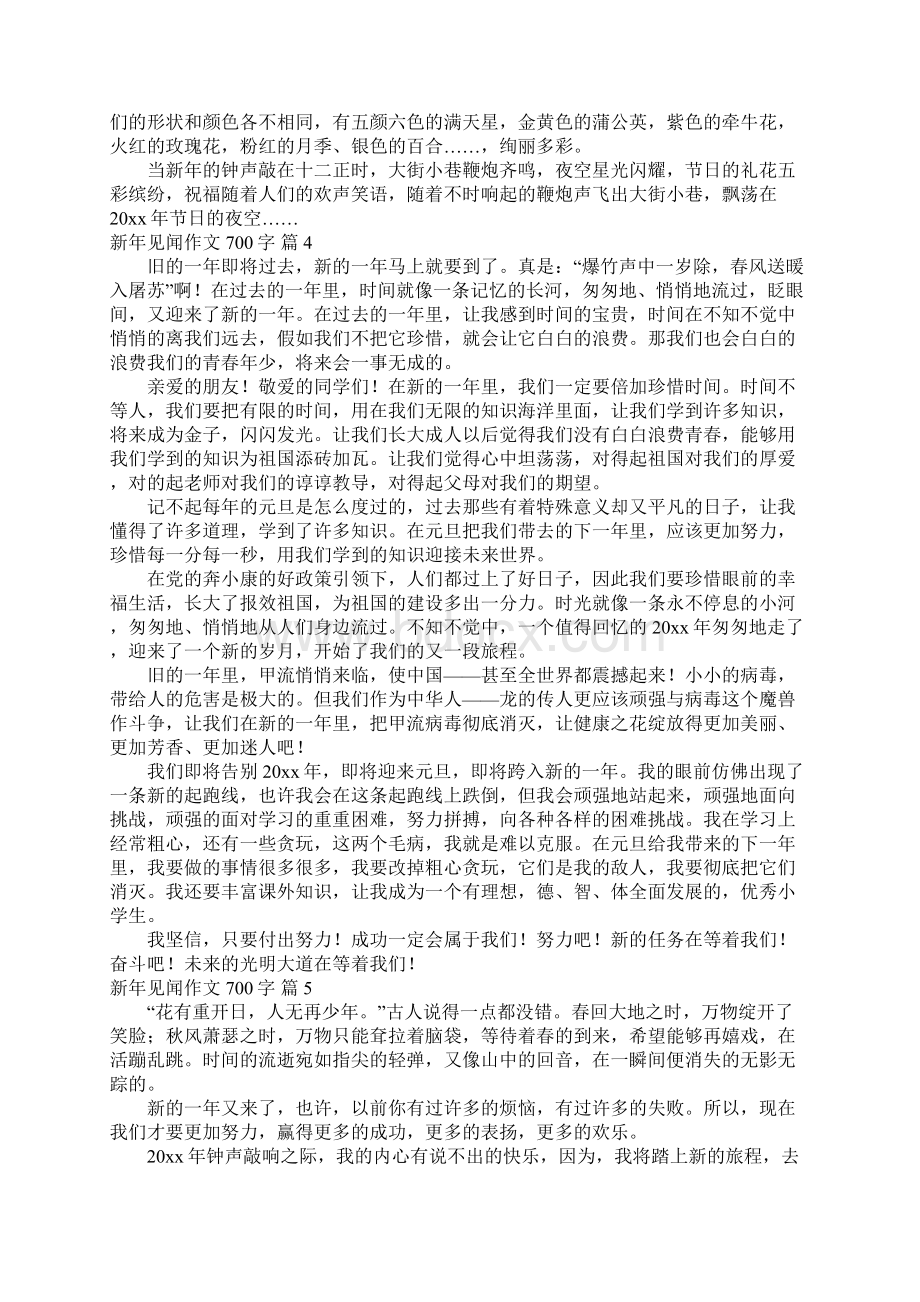 新年见闻作文700字.docx_第3页