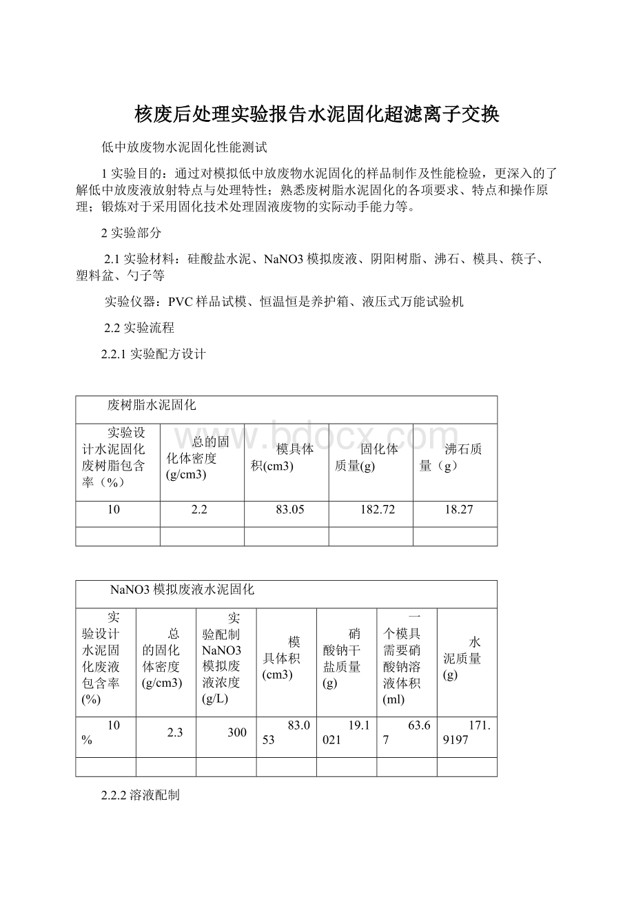 核废后处理实验报告水泥固化超滤离子交换文档格式.docx