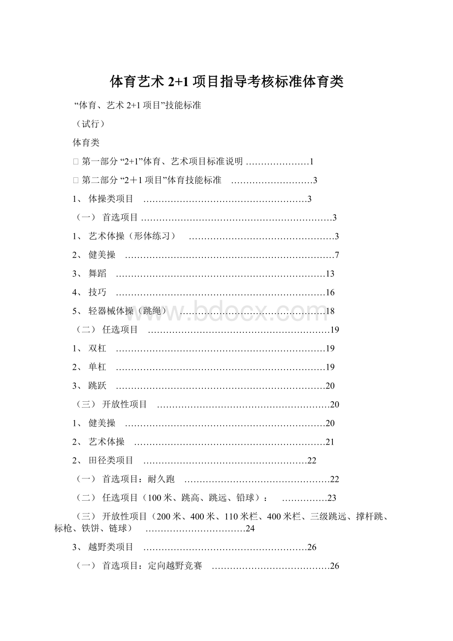 体育艺术2+1项目指导考核标准体育类Word下载.docx