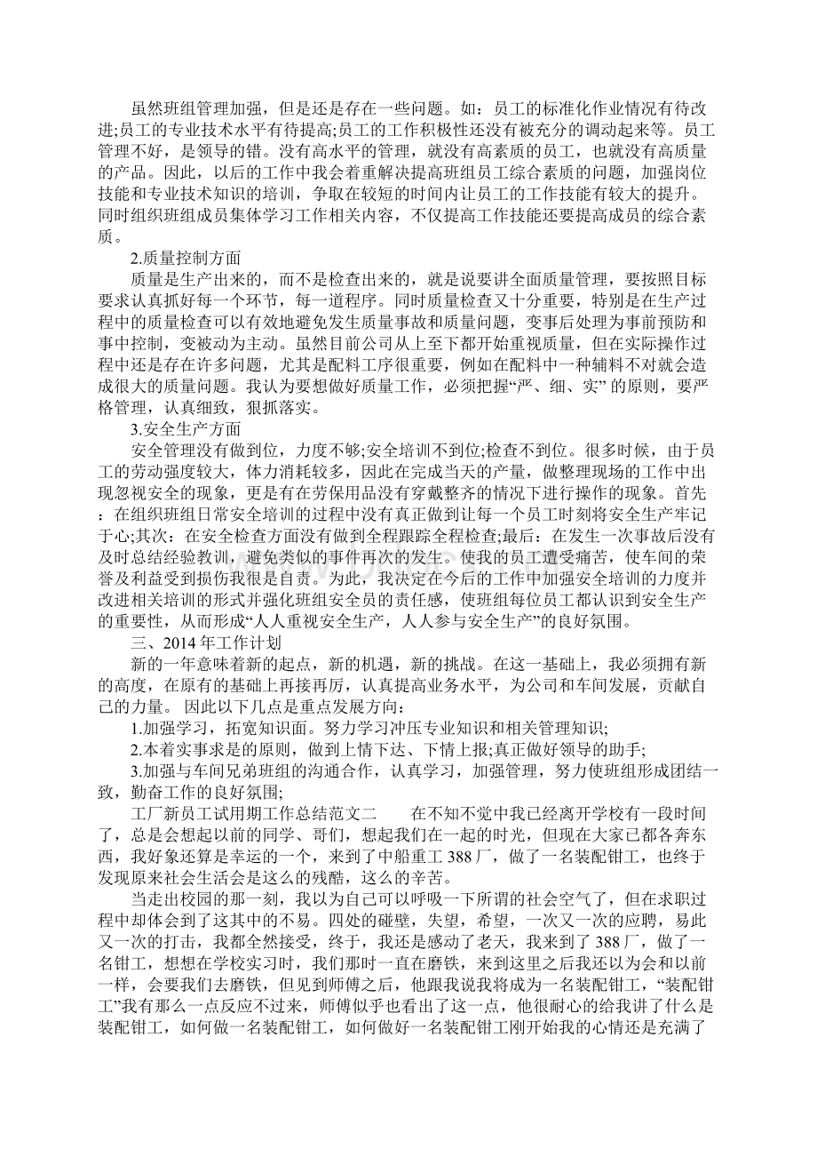 工厂新员工试用期工作总结范文.docx_第2页