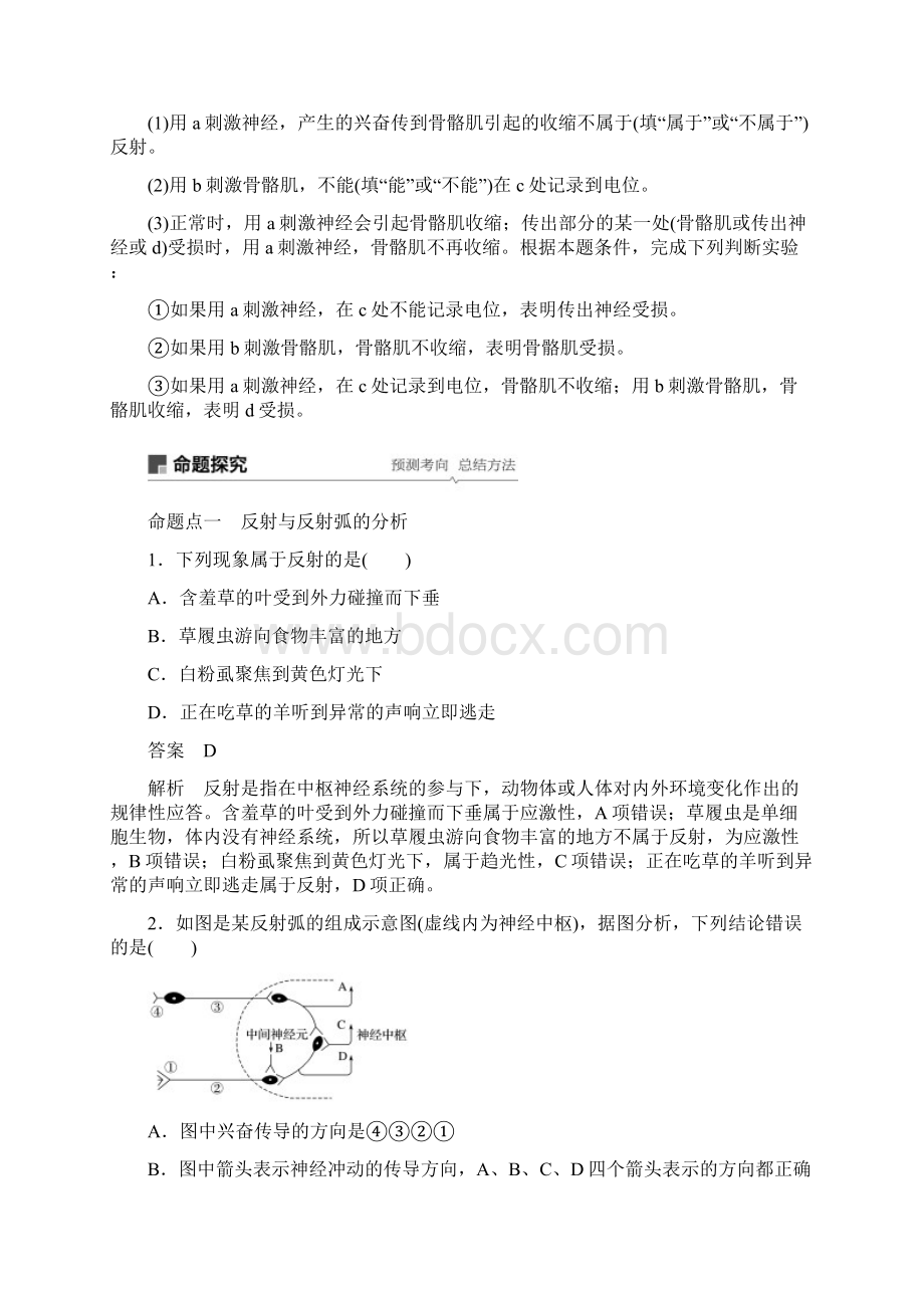 学年高考生物大一轮复习第八单元生命活动的调节第24讲通过神经系统的调节学案文档格式.docx_第3页