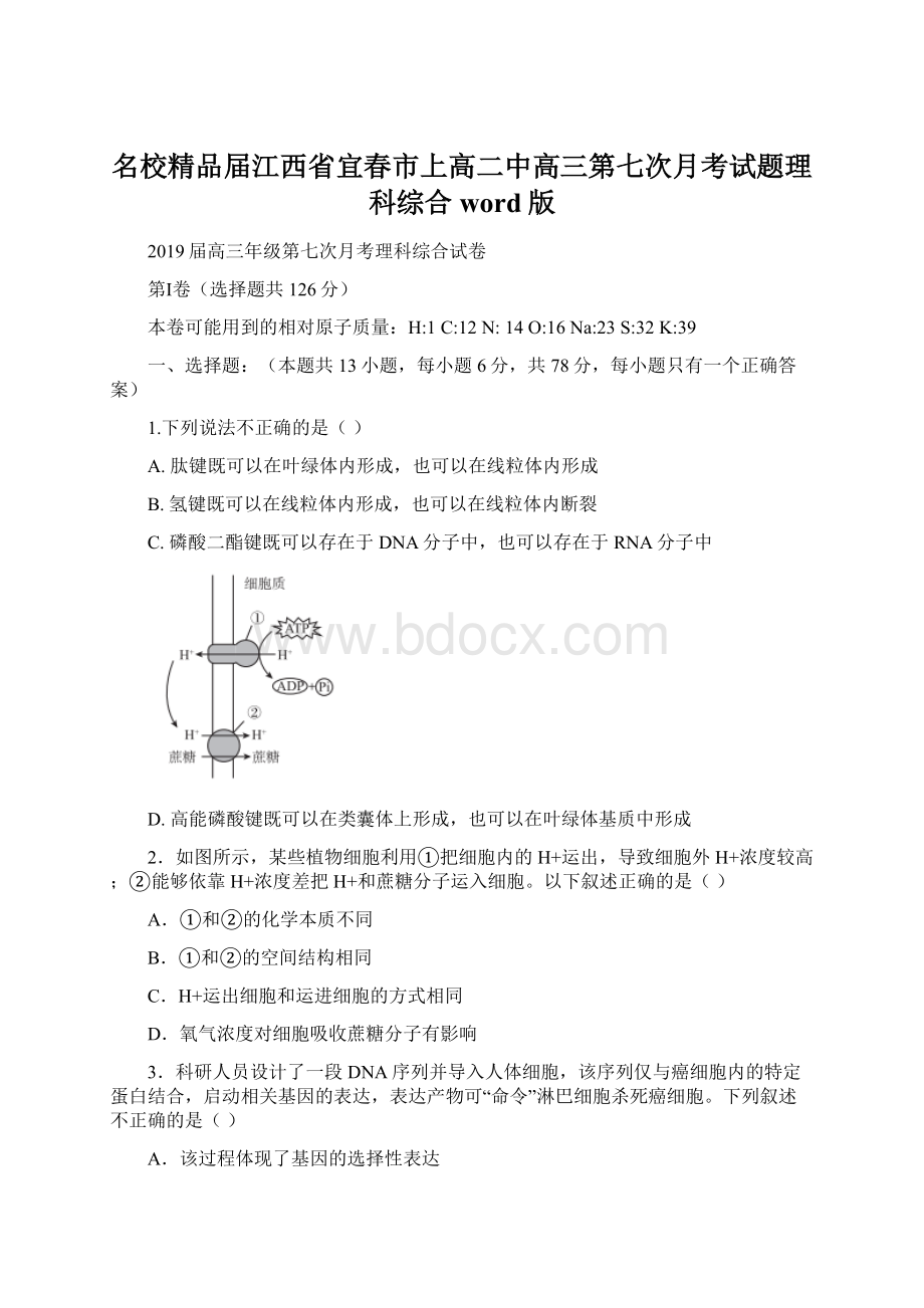 名校精品届江西省宜春市上高二中高三第七次月考试题理科综合word版Word文件下载.docx