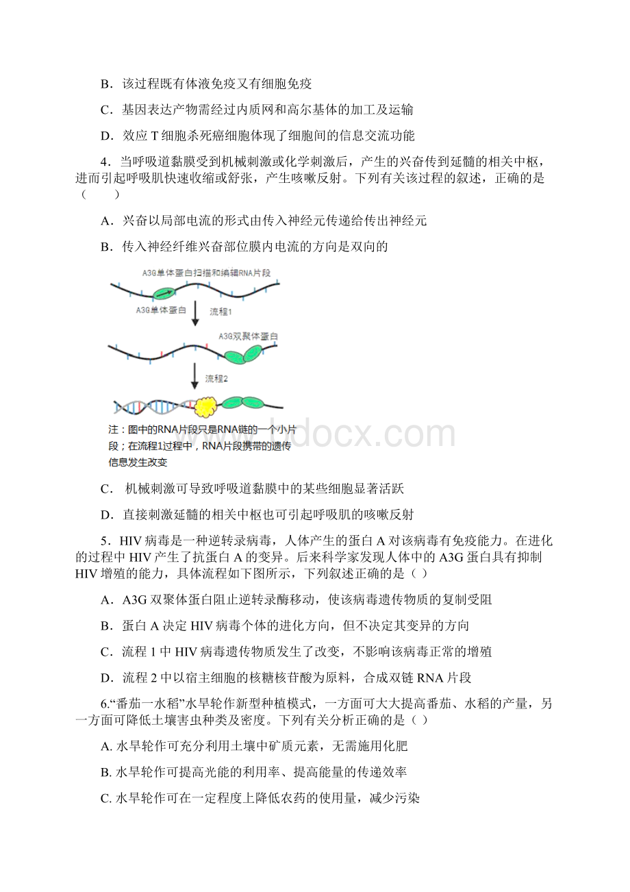 名校精品届江西省宜春市上高二中高三第七次月考试题理科综合word版Word文件下载.docx_第2页