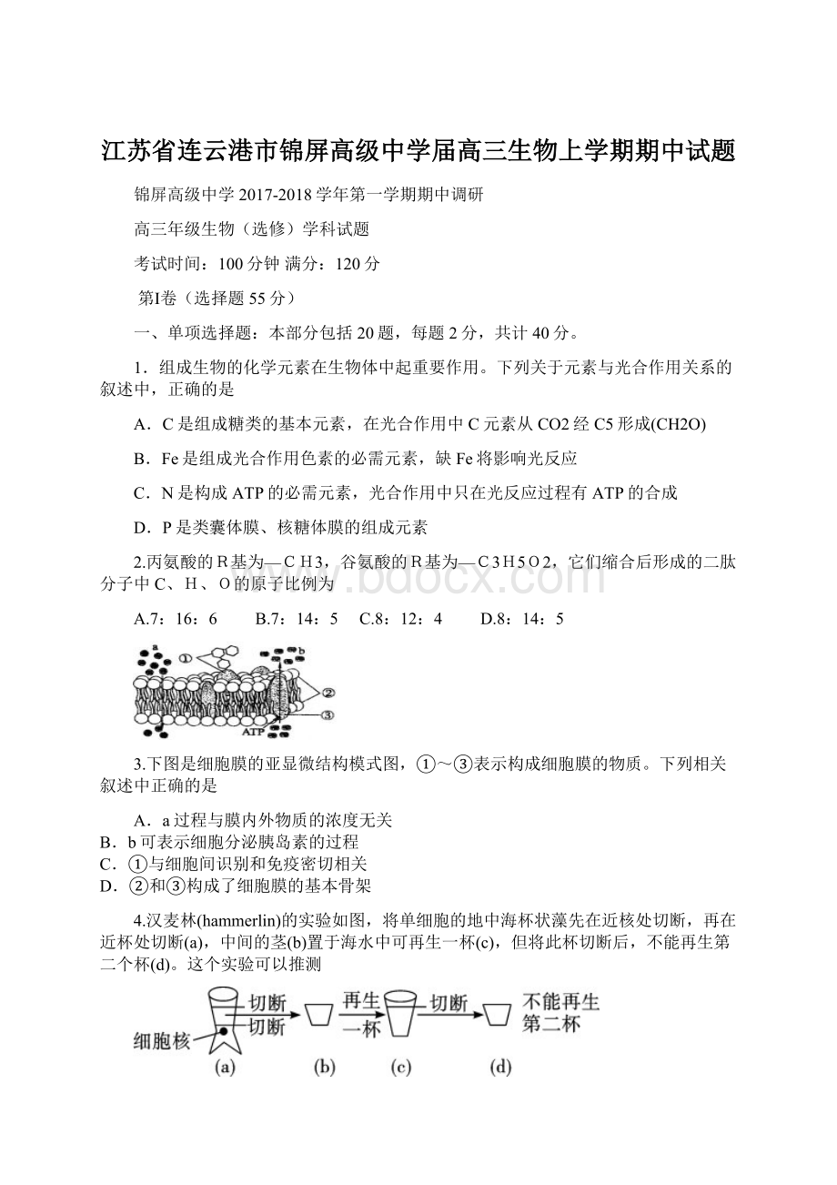 江苏省连云港市锦屏高级中学届高三生物上学期期中试题Word文件下载.docx