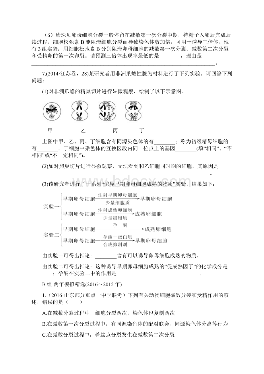 版《三年高考两年模拟》生物汇编专题专题八 遗传的细胞基础.docx_第3页