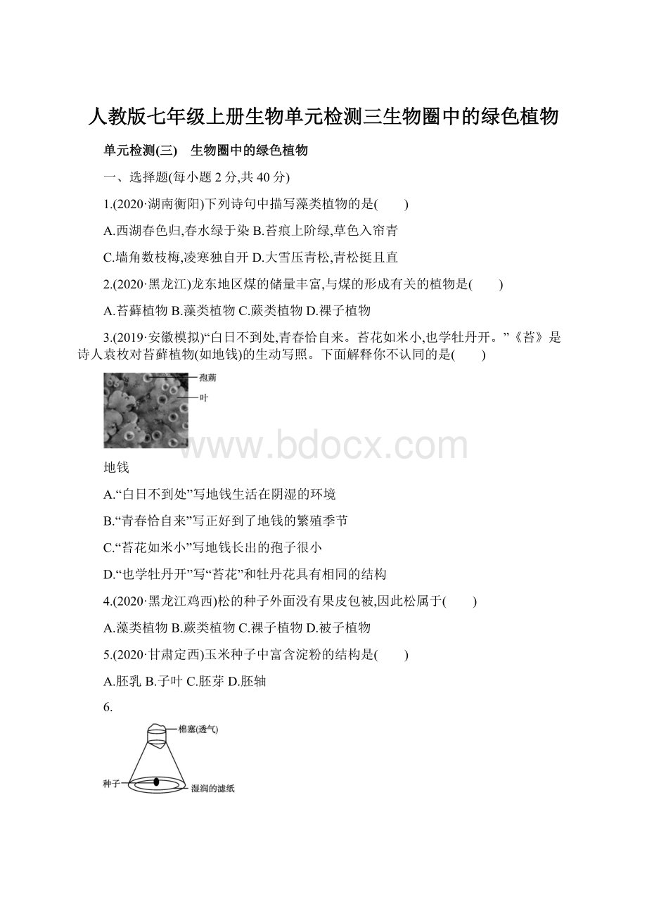 人教版七年级上册生物单元检测三生物圈中的绿色植物Word文档格式.docx_第1页