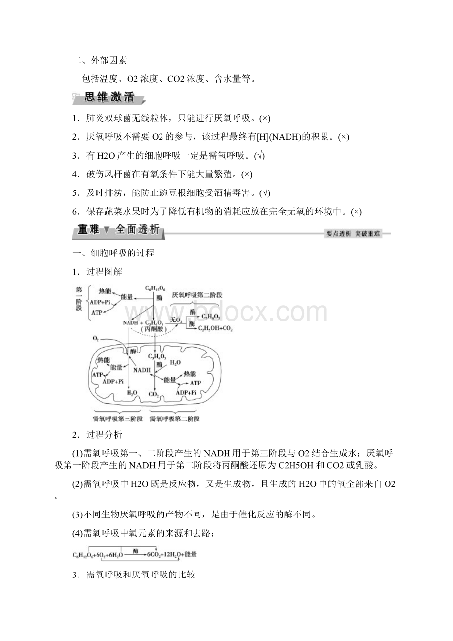 第5讲细胞呼吸.docx_第3页