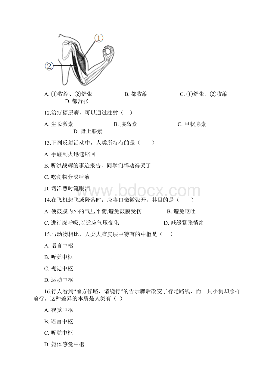 学年生物济南版七年级下册第五章 人体生命活动的调节 章节测试Word文档下载推荐.docx_第3页