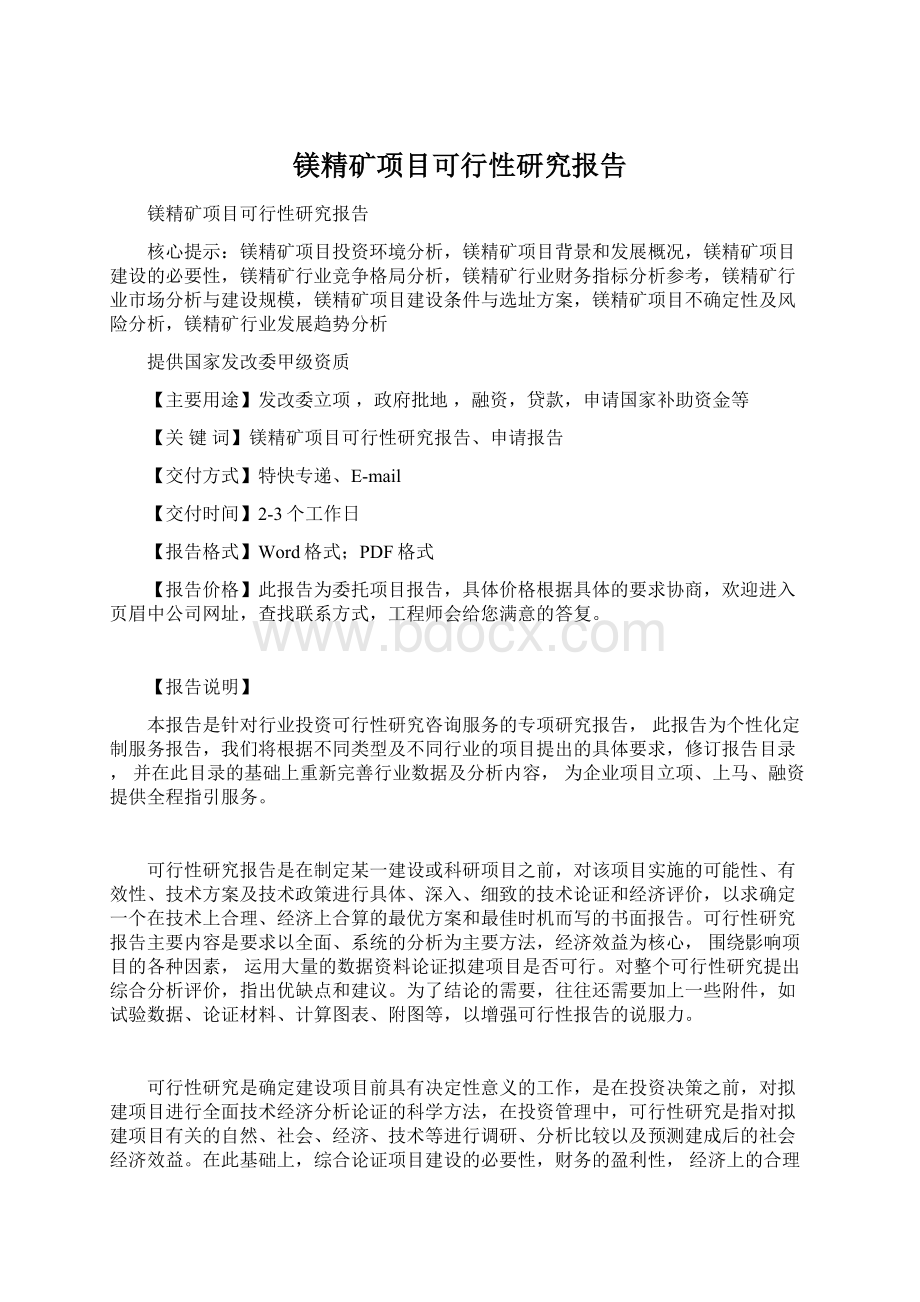 镁精矿项目可行性研究报告.docx_第1页