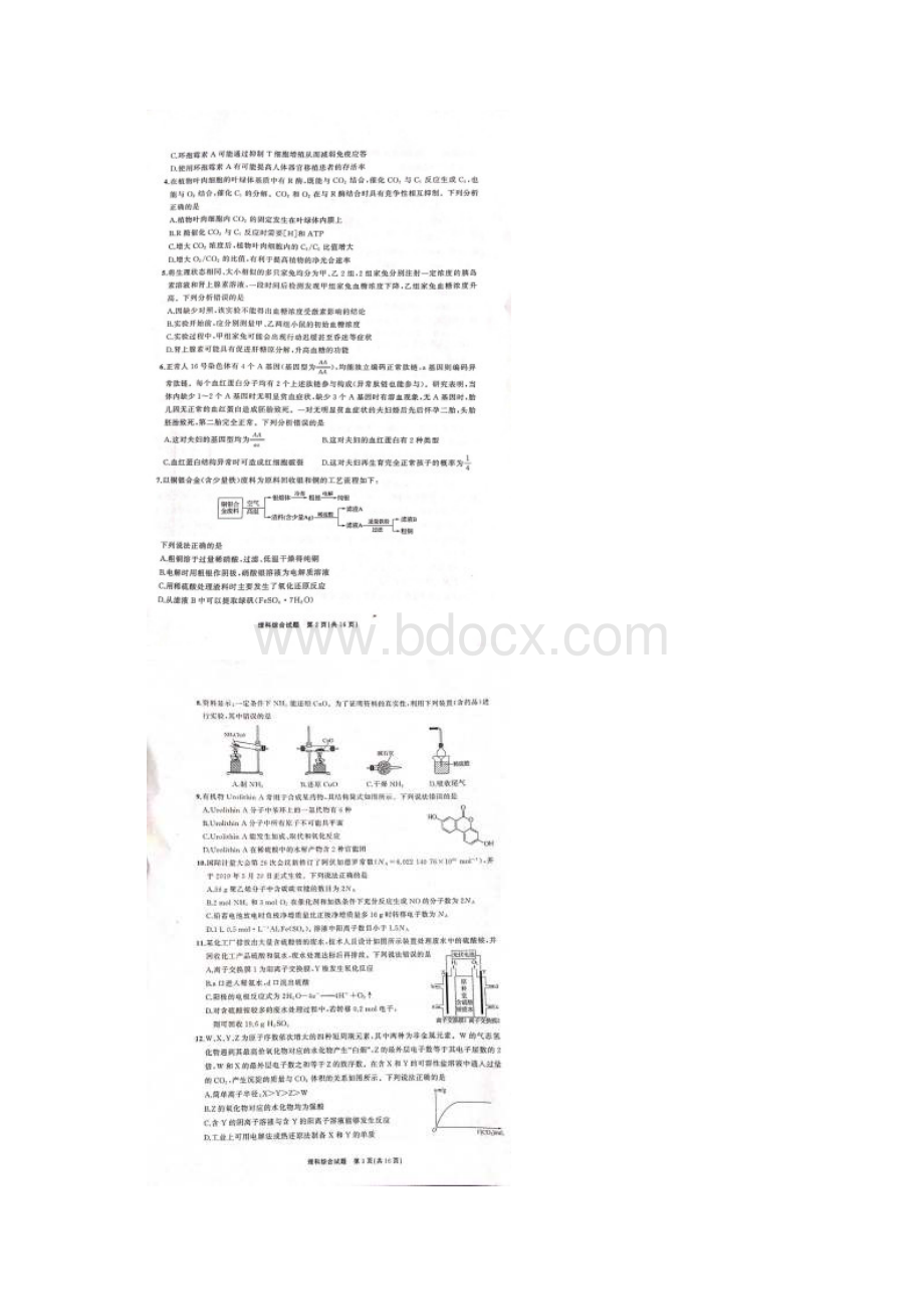 河北省衡水中学届全国高三统一联合考试理科综合试题图片版无答案.docx_第2页