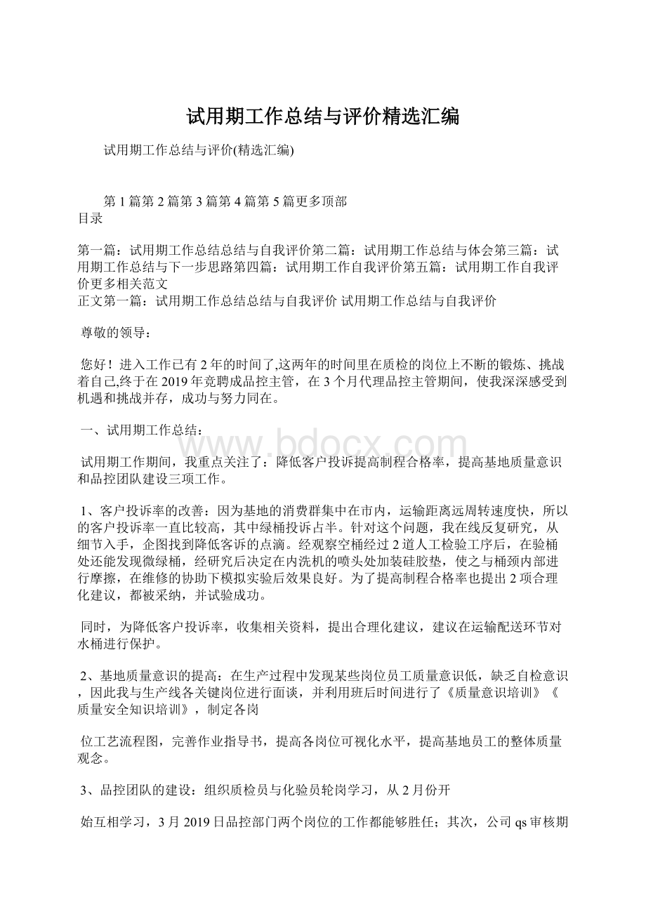 试用期工作总结与评价精选汇编.docx