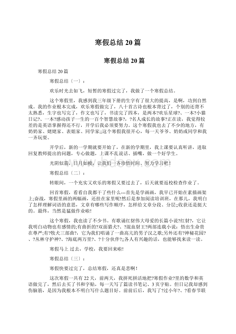 寒假总结20篇Word格式文档下载.docx_第1页