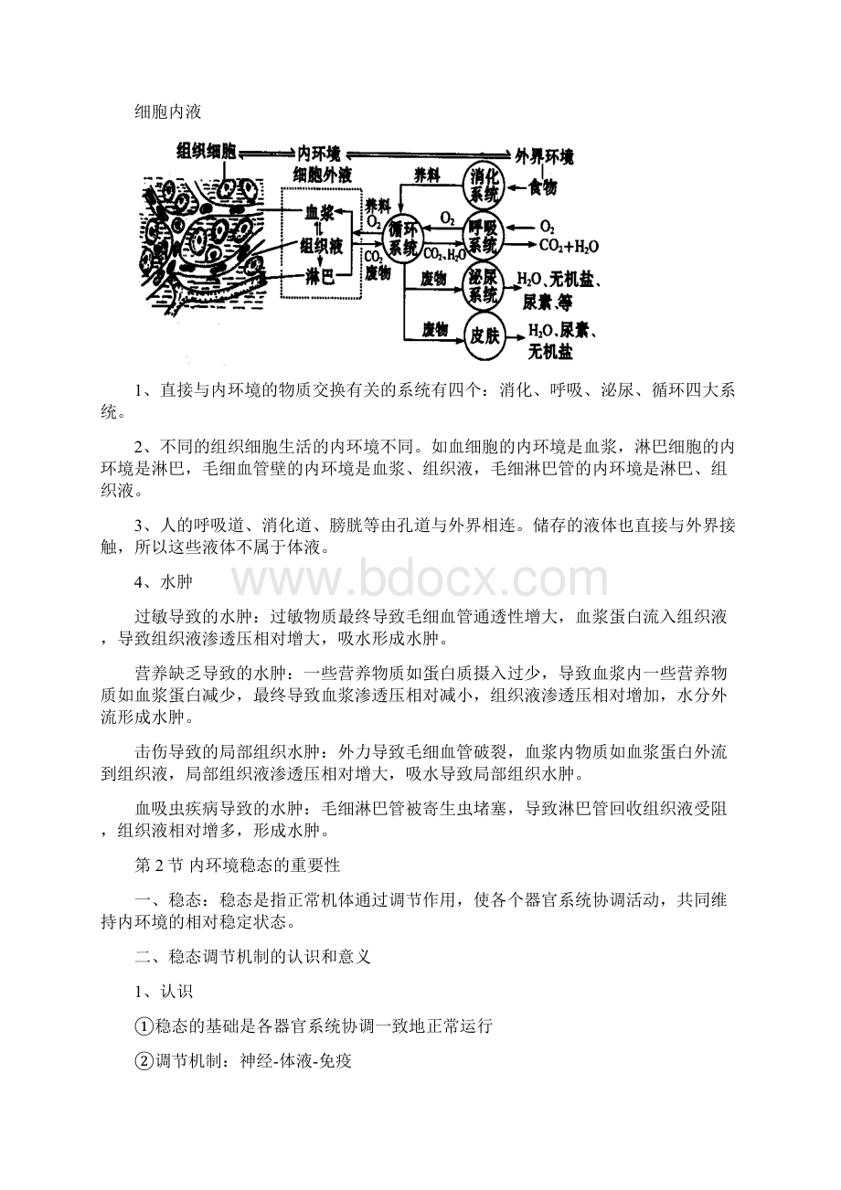 新人教版高中生物必修3基础知识梳理篇.docx_第3页