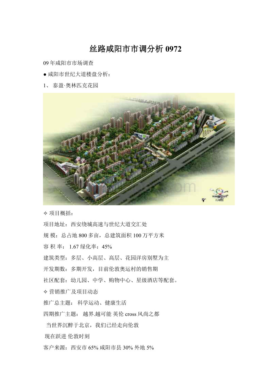 丝路咸阳市市调分析0972.docx