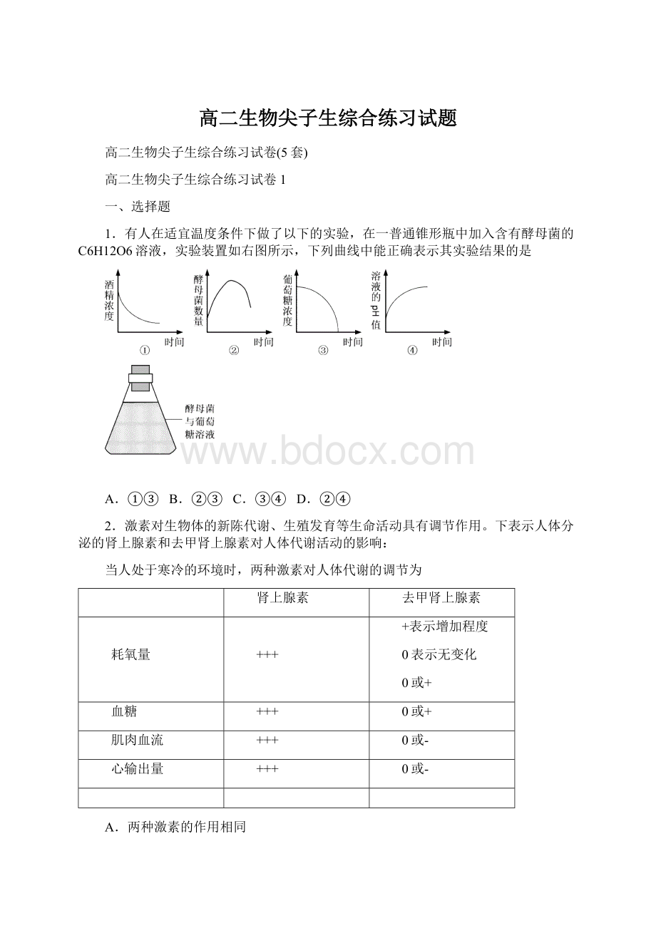 高二生物尖子生综合练习试题.docx