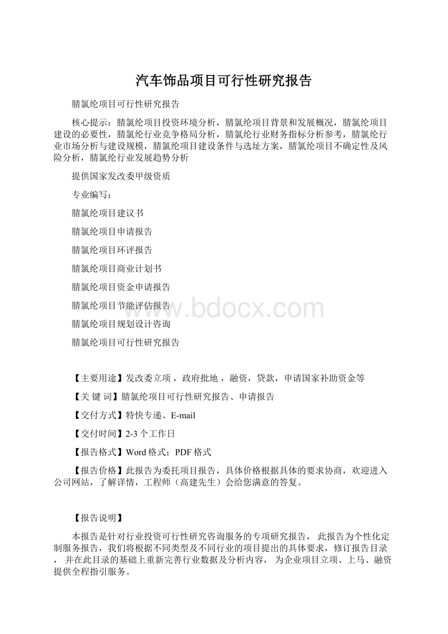 汽车饰品项目可行性研究报告Word格式.docx_第1页