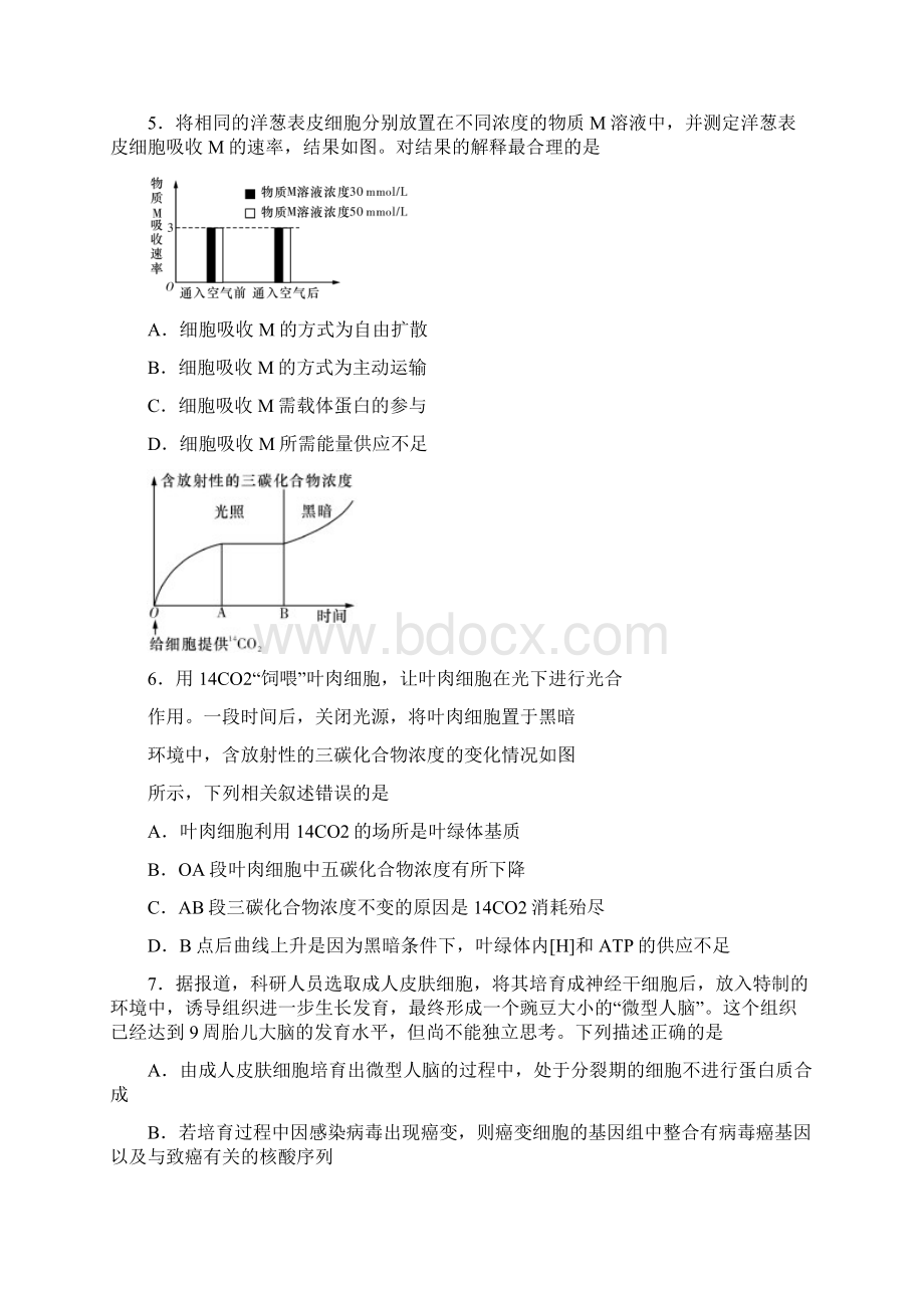 湖南师大附中届高三上学期第二次月考生物文档格式.docx_第2页