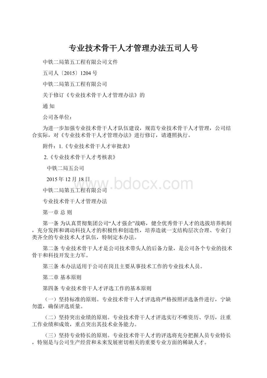 专业技术骨干人才管理办法五司人号.docx