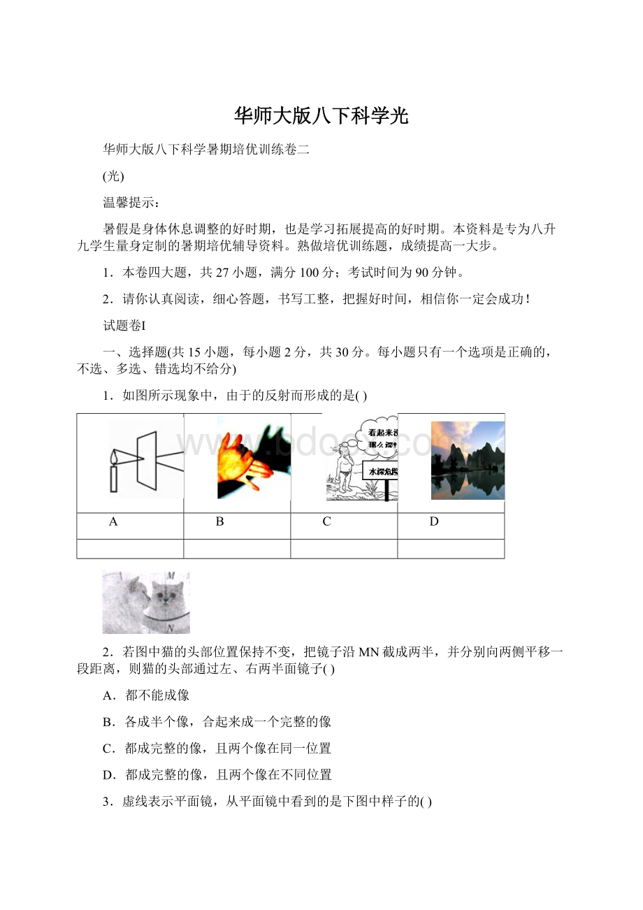 华师大版八下科学光.docx