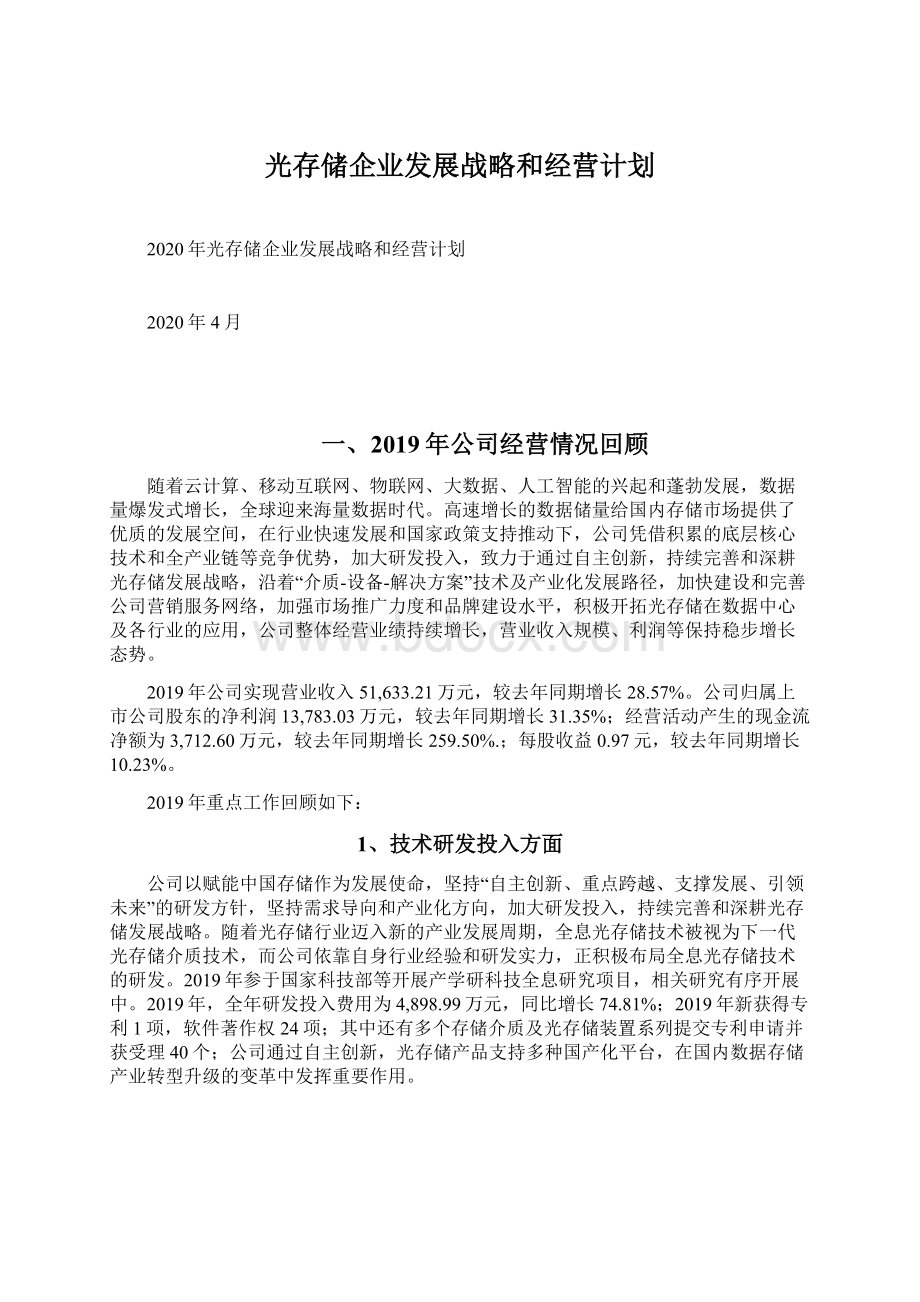 光存储企业发展战略和经营计划.docx_第1页