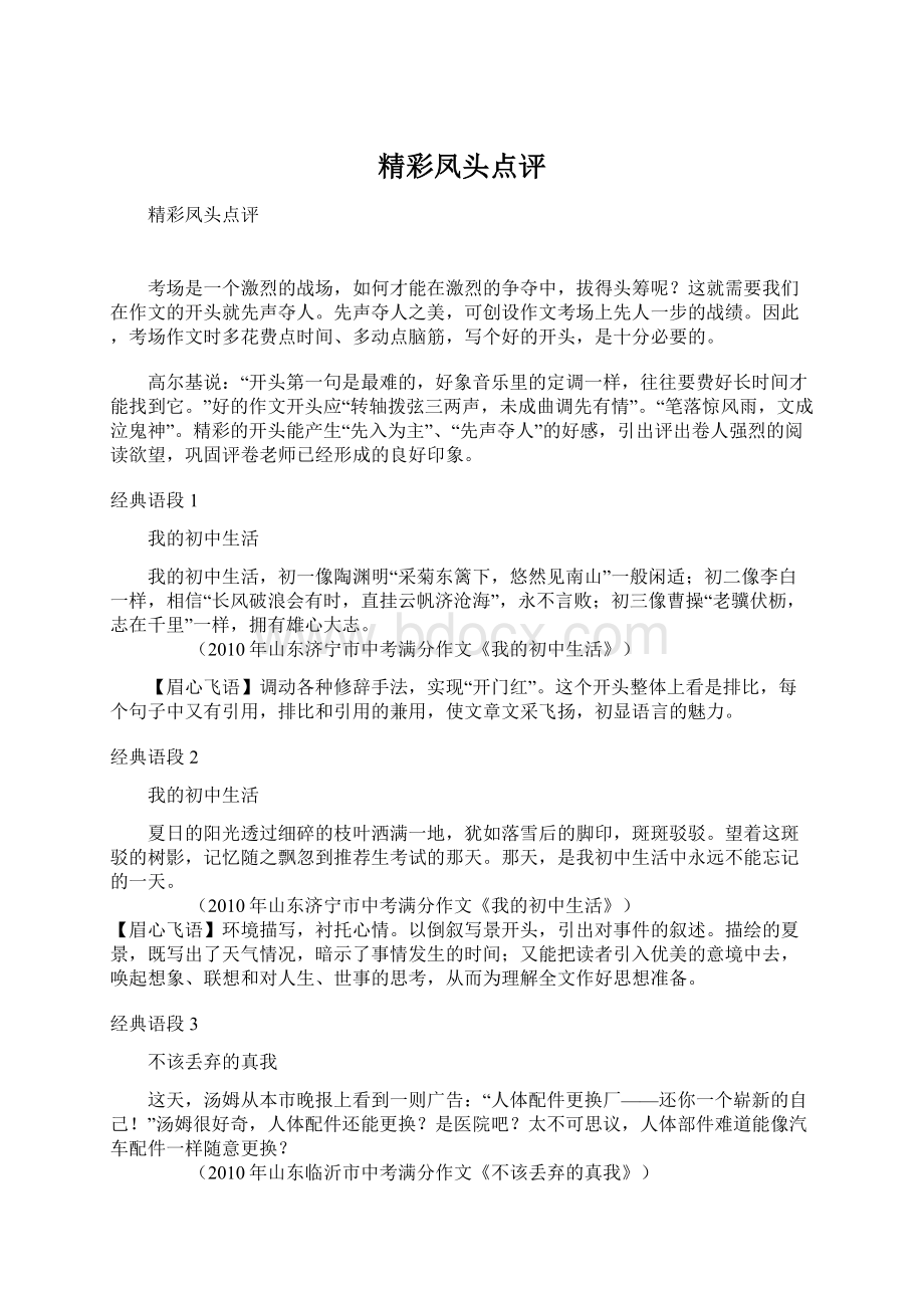 精彩凤头点评Word下载.docx_第1页