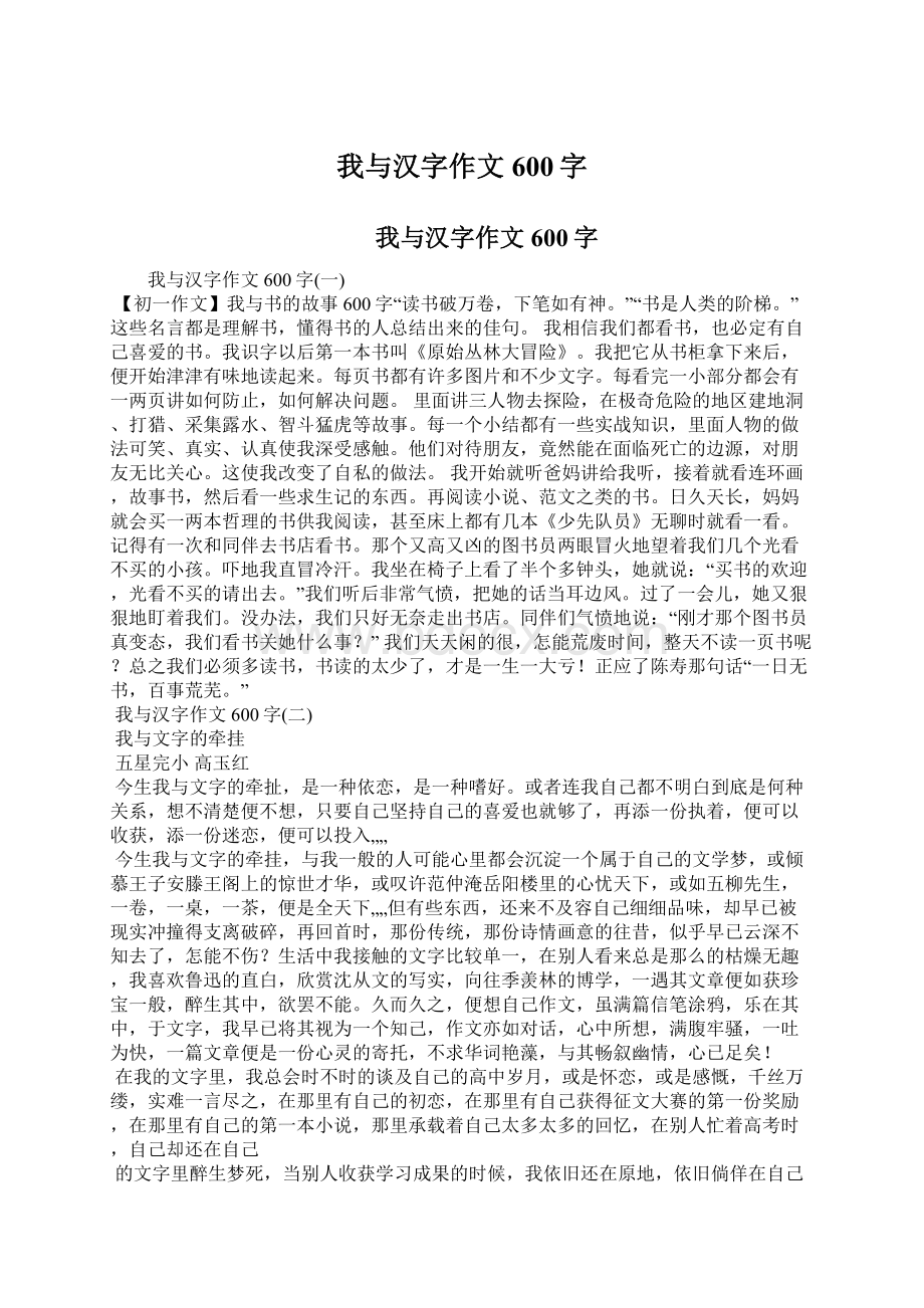 我与汉字作文600字文档格式.docx