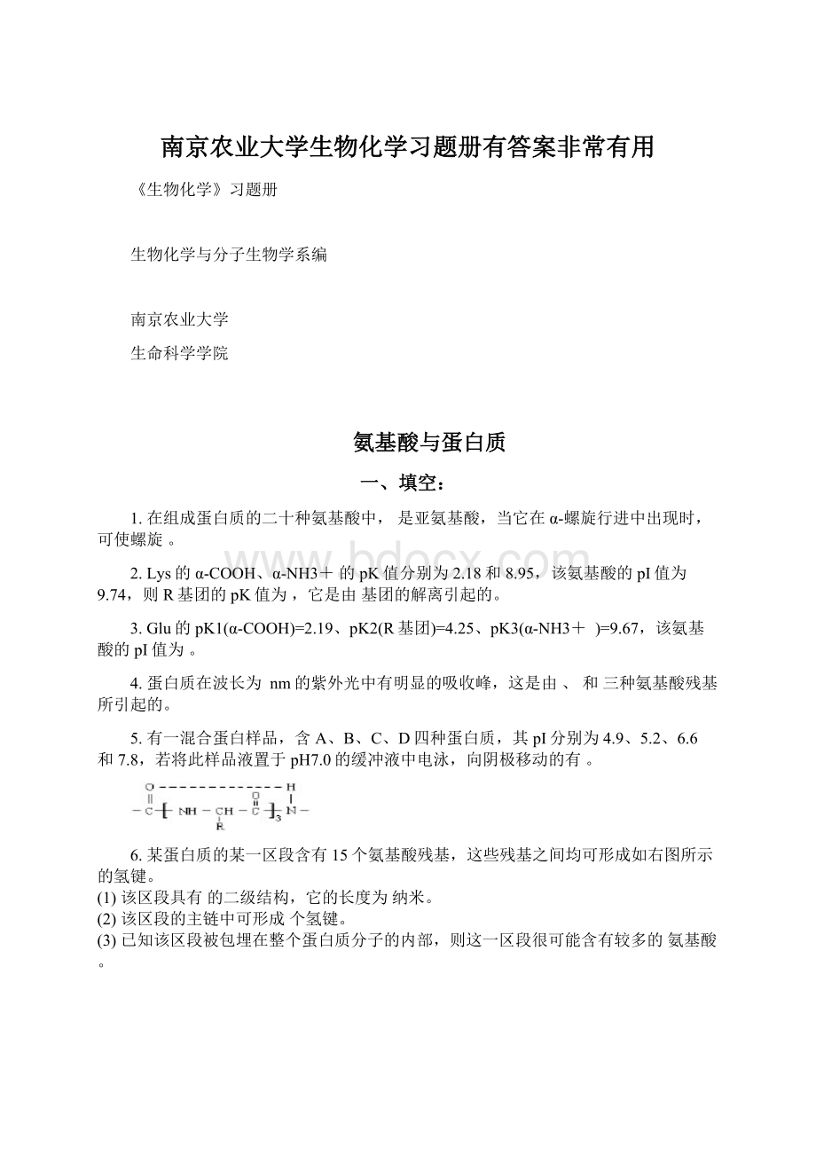南京农业大学生物化学习题册有答案非常有用.docx_第1页