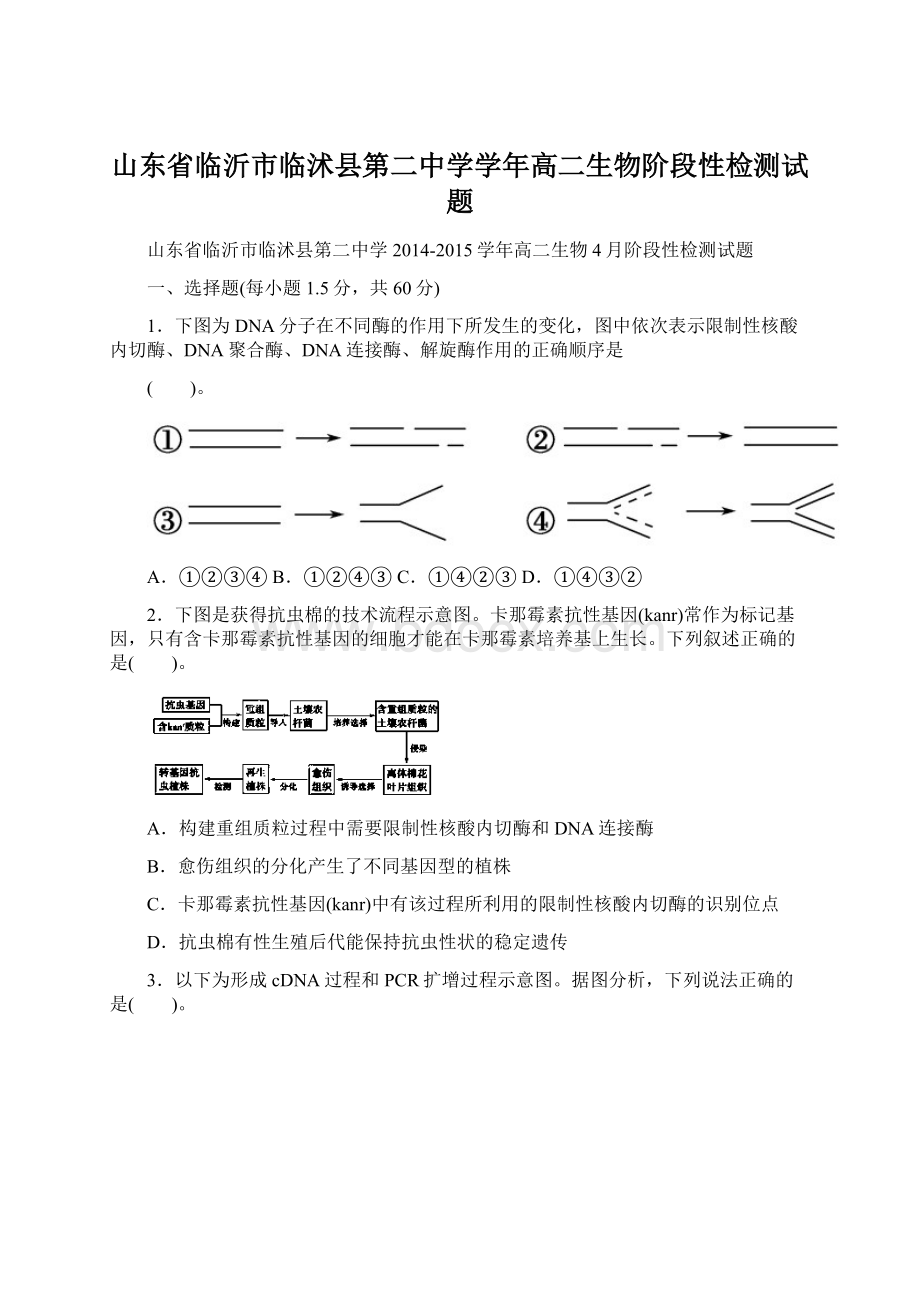 山东省临沂市临沭县第二中学学年高二生物阶段性检测试题Word文档下载推荐.docx_第1页