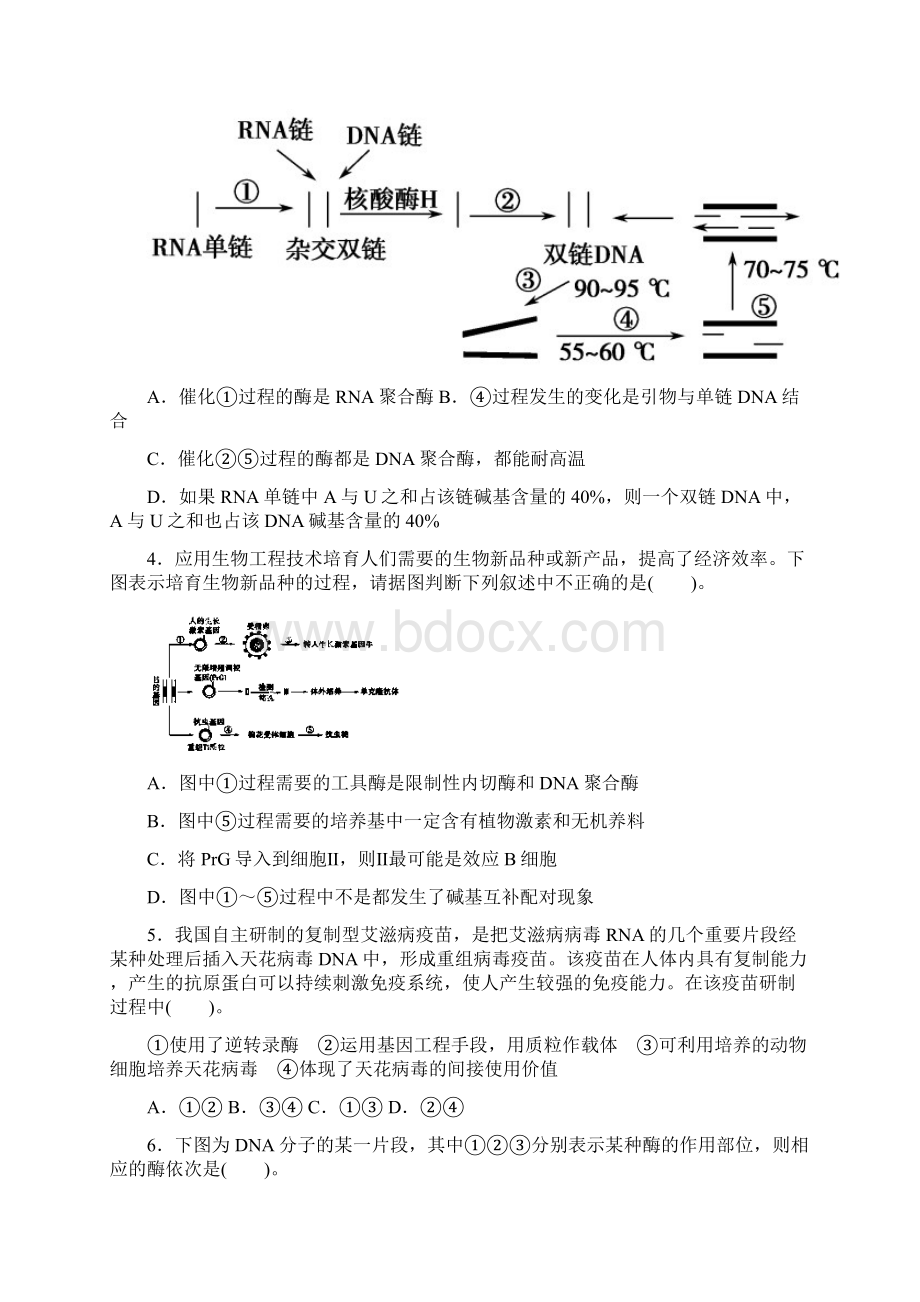 山东省临沂市临沭县第二中学学年高二生物阶段性检测试题.docx_第2页