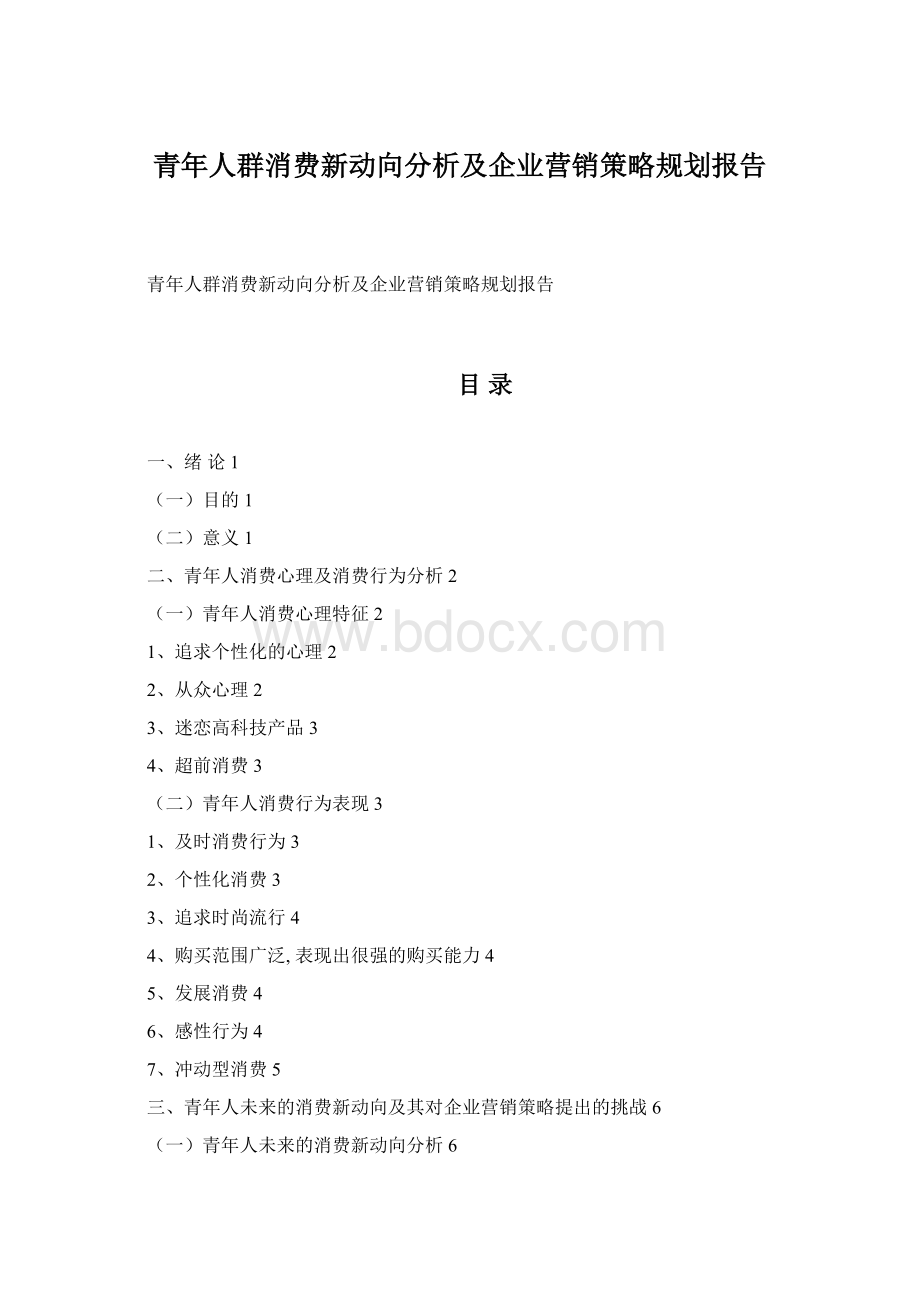 青年人群消费新动向分析及企业营销策略规划报告.docx