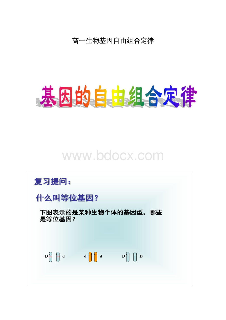 高一生物基因自由组合定律Word文件下载.docx_第1页