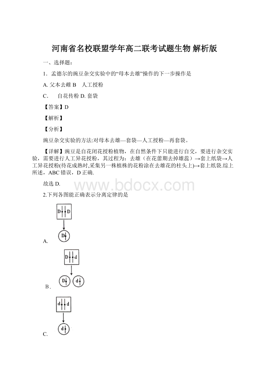 河南省名校联盟学年高二联考试题生物 解析版.docx_第1页