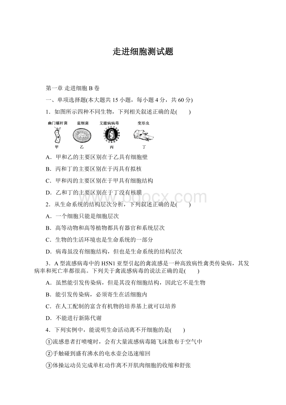 走进细胞测试题Word文档下载推荐.docx